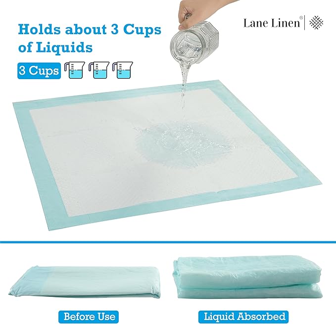 Dog Pee Pads with Leak-Proof Quick-Dry Design for Potty Training, Disposable Potty Pads, Standard Absorbency, Dog Training Pads, Regular Size, 22 x 22 Inches - Pack of 100