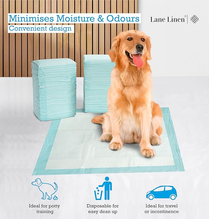 Dog Pee Pads with Leak-Proof Quick-Dry Design for Potty Training, Disposable Potty Pads, Standard Absorbency, Dog Training Pads, Regular Size, 22 x 22 Inches - Pack of 100
