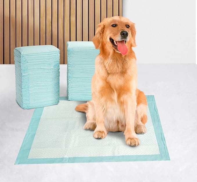 Dog Pee Pads with Leak-Proof Quick-Dry Design for Potty Training, Disposable Potty Pads, Standard Absorbency, Dog Training Pads, Regular Size, 22 x 22 Inches - Pack of 100