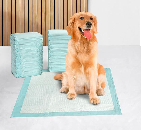 Dog Pee Pads with Leak-Proof Quick-Dry Design for Potty Training, Disposable Potty Pads, Standard Absorbency, Dog Training Pads, Regular Size, 22 x 22 Inches - Pack of 100
